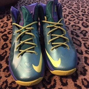 7 youth labrons